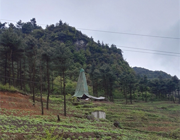 把脈“黔”鋅地，問診開良方